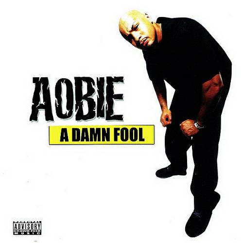 Aobie - A Damn Fool cover