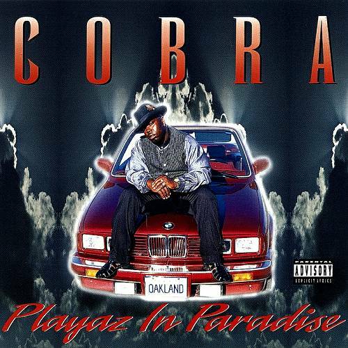 Cobra - Playaz In Paradise cover