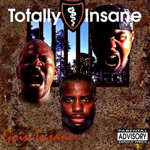 Totally Insane - Goin Insane cover