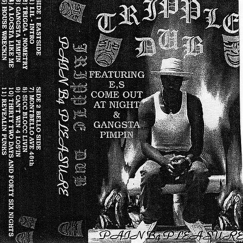 Tripple Dub - Pain B4 Pleasure cover